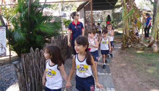 Galeria